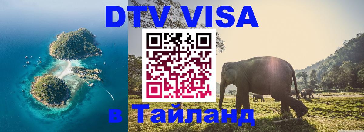 Оформление DTV визы под ключ: стоимость и тарифы, только загранпаспорт - Нейпьидо 